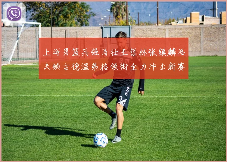 上海男篮兵强马壮王哲林张镇麟洛夫顿古德温弗格领衔全力冲击新赛季