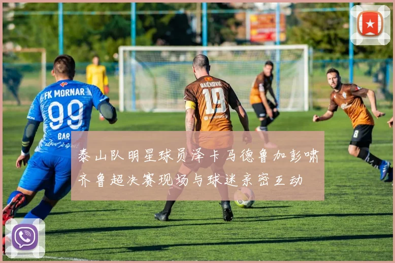 泰山队明星球员泽卡马德鲁加彭啸齐鲁超决赛现场与球迷亲密互动